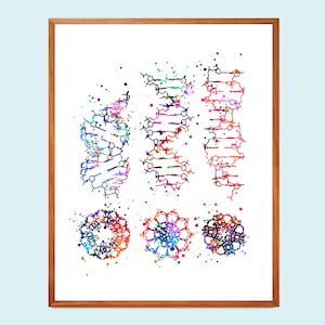 DNA types art print, Dna molecule, DNA structure, Microbiology poster, Science art, Genetic art, Medical student gift, Scientist gift,