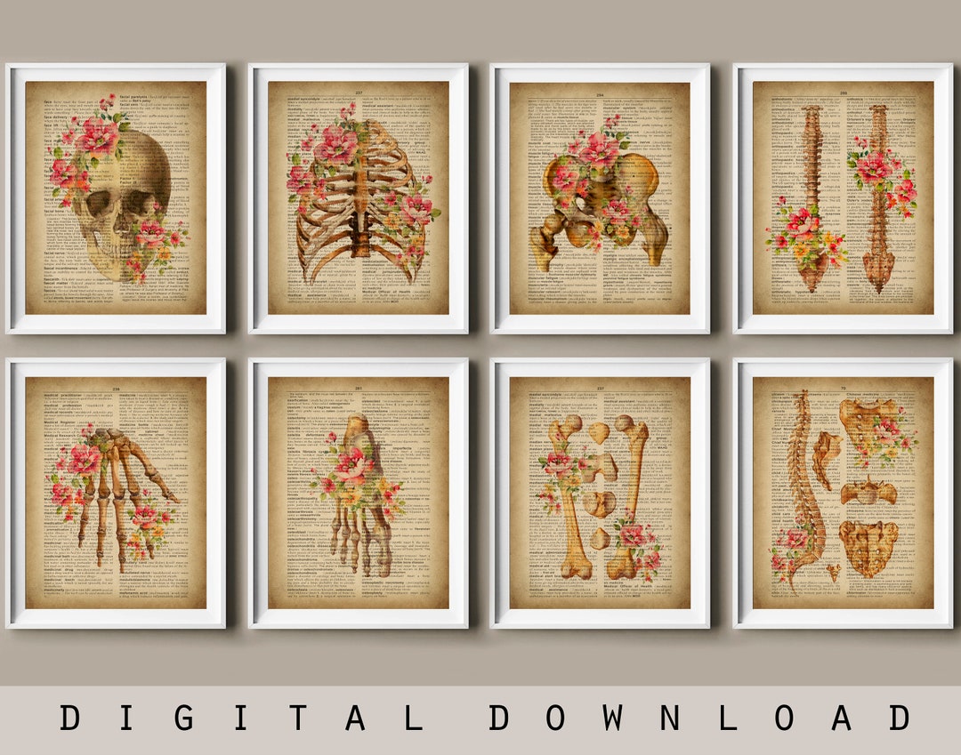 Antique Skeletal Anatomy Art Set of 8 Medical Dictionary Art Skeleton ...