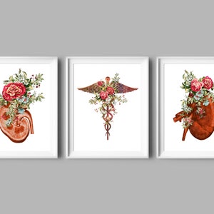 3 Nephrology Art Kidney Anatomy Art Caduceus Art Nephrologist Gift Surgeon Office Decor Medical Artwork Floral Science Painting Doctor Gift