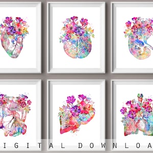 6 Anatomia di organi umani Arte acquerello Arte medica Floreale Cuore Anatomico Reni Polmoni Cervello Intestino Decorazione Dottore Infermiere Regalo Digitale