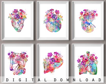 Láminas de anatomía floral: Decoración de órganos humanos en acuarela (Descarga digital)