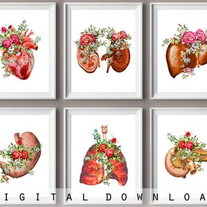 Floral Human Anatomy Art Prints: Medical Decor Set (Digital Download)