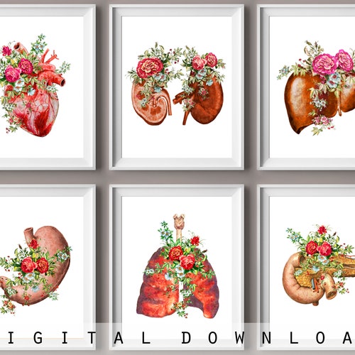 12 Medical Decor Watercolor Anatomy Art Doctor Office Gift - Etsy