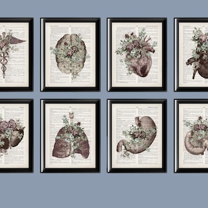 8 Vintage Anatomy Art Dictionary Art Medical Gift Caduceus Brain Heart Kidney Pancreas Liver Painting Watercolor Anatomy Artwork Doctor Gift