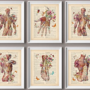 6 Vintage Muscle Anatomy Art Book Art Medical Artwork Physiology Poster Massage Treatment Art Physiotherapist Gift Surgery Office Decor