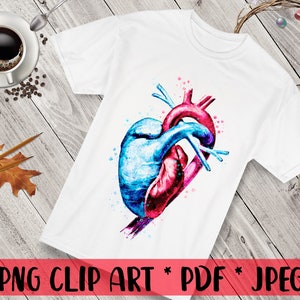 Anatomie Clipart, Aquarell Clipart, Herz Clipart, Herz und Aorta, Kardiologie Kunst, PNG Clip Art, Medizinische Clipart, Arzt Logo, Krankenschwester Logo