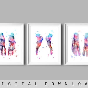 3 Podiatrist Office Decor Foot Anatomy Art Orthopedic Poster Anatomical Foot Bones Osteopath Gift Doctor Gift Surgeon Gift Clinic Wall Art