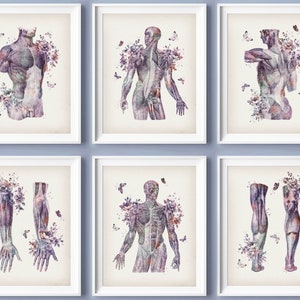 Set 6 Vintage Muscular System Anatomy Art Medical Art Floral Muscle Poster Massage Clinic Decor Physiotherapist Practice Gift Doctor Office