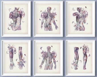 Floral Muscular System Anatomy Prints: Vintage Medical Art Set (Digital Download