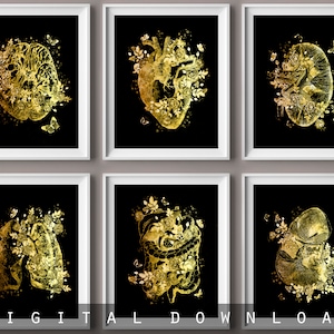 Human anatomy art, Medical artwork, Science poster, Gold anatomy, Gold heart, brain, kidney, lungs, intestines, liver illustration