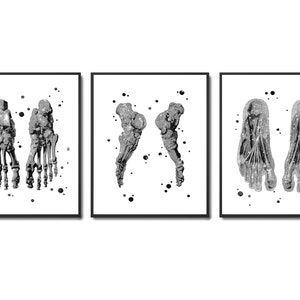 3 Foot Anatomy Art Orthopedic Poster Medical Art Foot Bones Diagram Orthopedic Surgeon Gift Clinic Wall Decor Podiatrist Gift Podologist Art