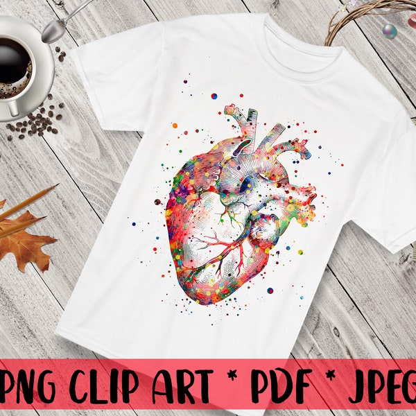Anatomical Heart Clipart Anatomy PNG Clipart Designs Medical Clipart Sublimation Doctor Logo Clinic Logo Nurse Gift Medical Student Gift