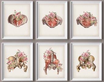 6 Floral Pelvis Anatomy Art Watercolor Drawing Medical Decor Pelvic Floor Muscles Poster Orthopedic Gift Chiropractic Clinic Wall Decor