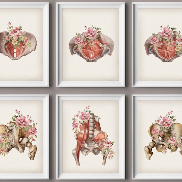 6 Floral Pelvis Anatomía Arte Acuarela Dibujo Decoración Médica Músculos del Suelo Pélvico Cartel Regalo Ortopédico Clínica Quiropráctica Decoración de la pared