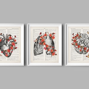Vintage Anatomy Set Anatomical Poster Medical Decor Doctor Gift Human ...