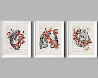 Vintage Anatomy Art Prints: Floral Human Heart, Lungs, Brain (Digital Download)
