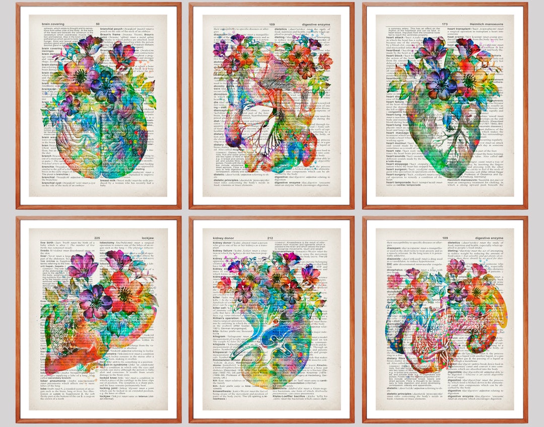 6 Floral Anatomy Art Medical Art Dictionary Art Abdominal Anatomy ...