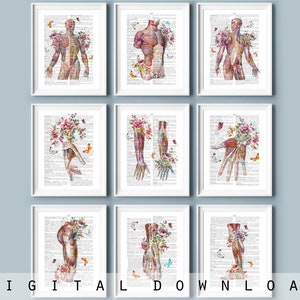 9 Watercolor Anatomy and Flower Artwork Muscular System Painting Medical Decor Doctor Office Gift Clinic Art Physical Therapist Office Decor