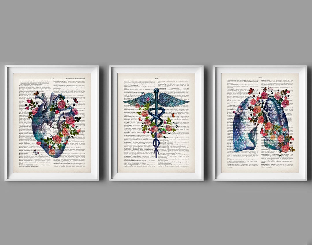 3 Vintage Anatomy Art, Medical Art, Caduceus Art,anatomical Heart Art ...
