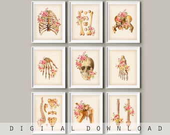 Vintage Anatomy Art Prints: Skeletal System with Flowers (Digital Download)