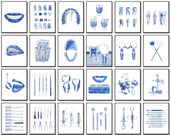Set 6 of Vintage Dental Anatomy Art Posters Dentist Gift Dental Office