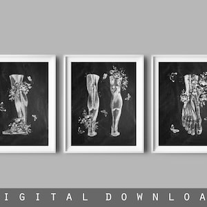 Podiatry Art, Foot Anatomy, Chalkboard Art, Foot Muscles, Anatomical Leg, Ankle Poster, Podiatry Clinic Decor, Podiatrist Gift, Orthopedist
