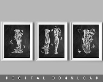 Foot Anatomy Chalkboard Art Prints: Podiatry Clinic Decor (11x14) (Digital Download)