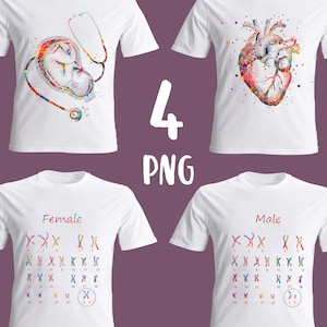 4 Baby Care Clipart, Fetus and Stethoscope Clipart, Anatomical Heart PNG, Genetics Clipart, Chromosomes Clipart, Science Clipart, Med Design