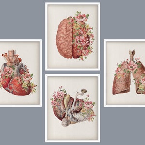 4 Vintage anatomy art, Human physiology art, Medical artwork, Surgical office art, Physical therapist gift, Doctor art gift, Nurse gift