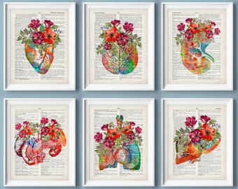 Set 6 Anatomy Art, Medical Art, Dictionary Art, Anatomy and Flowers,Clinic Wall Decor, Physician Gift, Surgeon Gift, Doctor Office Decor
