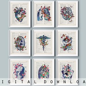 Anatomy & Flower Art Prints: Medical Dictionary Decor (Digital Download)