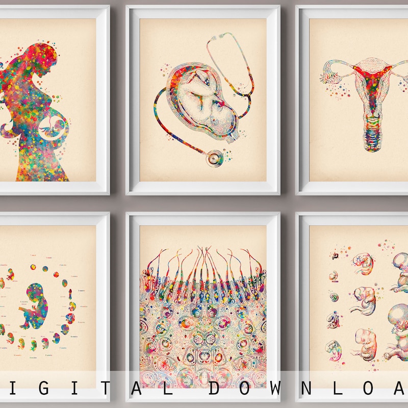Obgyn Art - Etsy