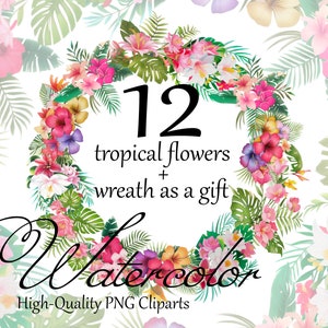 12 Tropical Flowers Clipart Palm Leaves Clipart Exotic Flowers Bouquet PNG Tropical Wreath Hibiscus Clipart Floral Decoration Wedding Decor