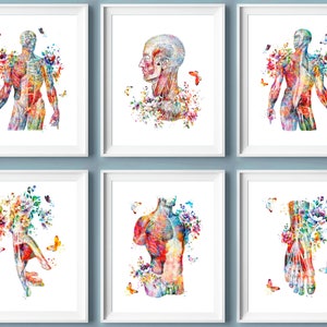6 Muscular System Anatomy Art Medical Print Muscle Structure Poster Masseur Office Decor Physiotherapist Gift Doctor Gift Surgeon Gift
