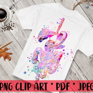 Könnte beinhalten: Eine Aquarell-Illustration des menschlichen Verdauungssystems, einschließlich Magen, Darm und Leber. Die Illustration ist in Schattierungen von Rosa, Lila, Blau und Grün.