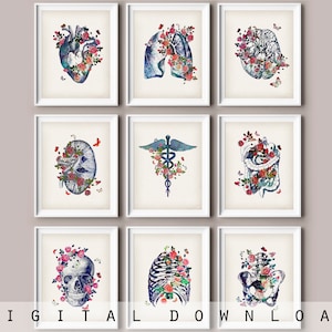 Vintage Floral Anatomy Art Prints: Medical Decor Set (Digital Download)