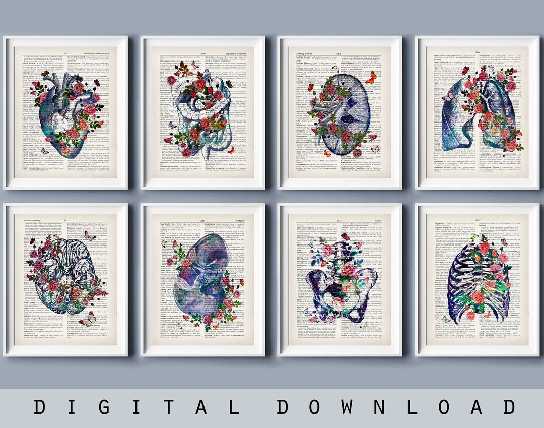 Vintage Anatomy Art Prints Set: Medical Dictionary Page Decor (digital ...