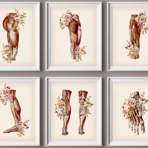 Vintage Foot Anatomy Art Print Set: Orthopedic Decor (Digital Download)