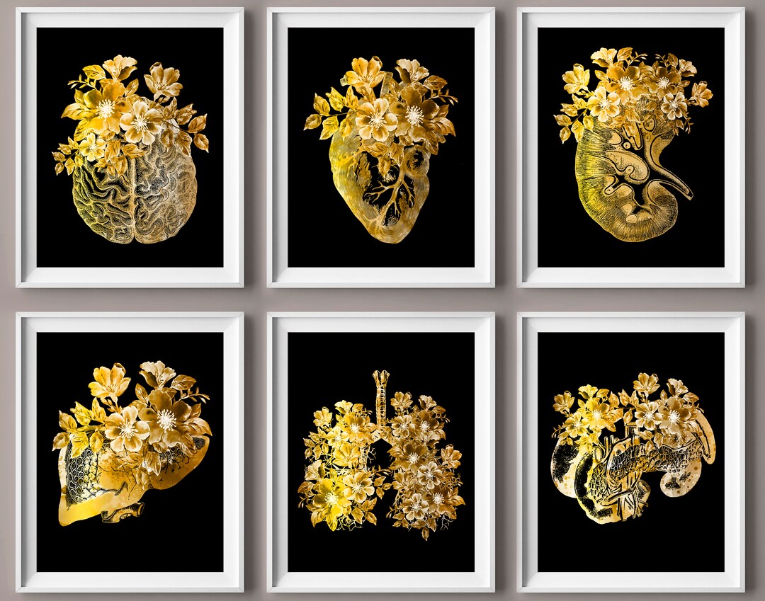 6 Floral Anatomy Art Gold Black Medical Decor Human Physiology Artwork ...