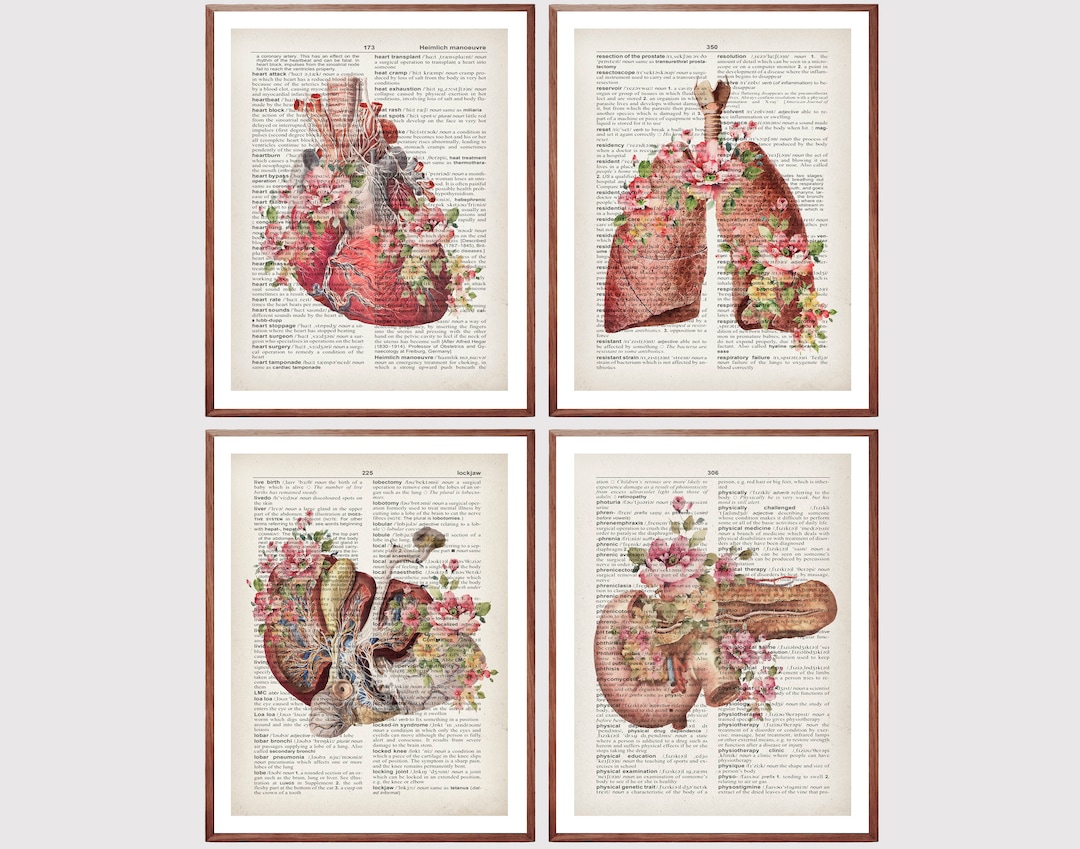 Set 4 Vintage Anatomy Art Medical Art Dictionary Page Art Internal ...