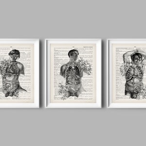 3 Vintage Male Anatomy Art Dictionary Art Antique Medicine Poster Science Art Doctor Graduation Gift Medical Artwork Surgeon Office Art