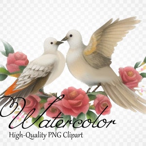 Para Gołębi Clipart Ptak Clipart Czerwone Róże Clipart Walentynki Clipart Ślub Clipart Małżeństwo Clipart Panny Młodej Romantyczna Sztuka