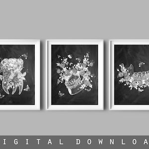 3 Tooth Anatomy Art Dentist Gift Dental Care Art Dentistry Art Orthodontics Art Orthodonture Art Dental Clinic Decor Hygienist Gift