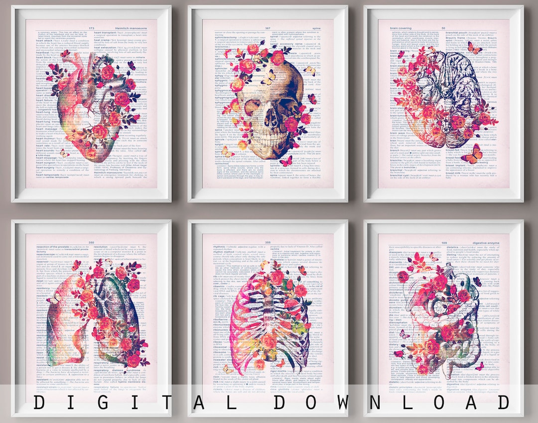 Set 6 Floral Anatomy, Dictionary Page Art, Medical Art, Watercolor ...