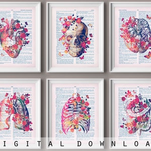 Set 6 Floral Anatomy, Dictionary page art, Medical art, Watercolor anatomy, Science decor, Vintage art, Doctor gift, Clinic wall art