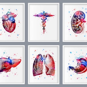 6 Doctor Graduation Medical Artwork Caduceus Art Anatomy Art Anatomical ...