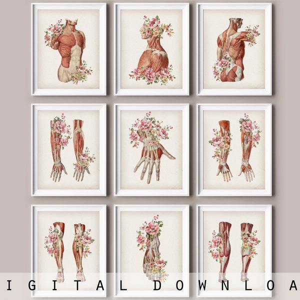 9 Vintage Muscular System Anatomy Art Medical Poster Massage Clinic Wall Decor Physical Therapist Office Gift Doctor Gift Surgeon Gift