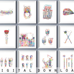 Ensemble de 12 outils dentaires cadeau dentiste Anatomie dentaire aquarelle Art médical Décoration de clinique dentaire Instruments dentaires Art dentaire Docteur Graduaiton