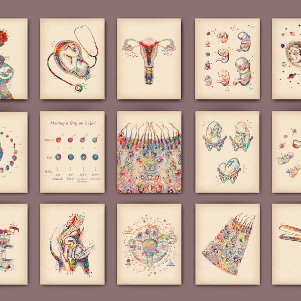 Obgyn Art - Etsy