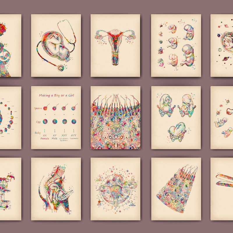 Obgyn Art - Etsy